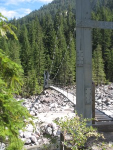 bouncy carbon river bridge